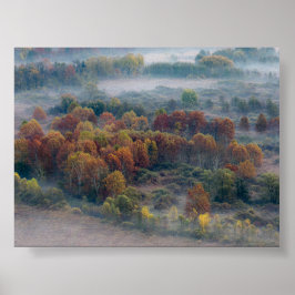 Póster Árboles en la niebla de la mañana