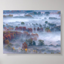 Póster Árboles en la niebla de la mañana