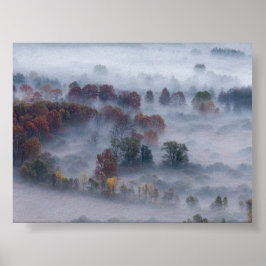 Póster Árboles en la niebla de la mañana