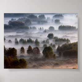 Póster Árboles en la niebla de la mañana