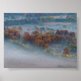Póster Árboles en la niebla matutina