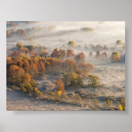 Póster Árboles en la niebla matutina