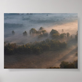Póster Árboles en la niebla matutina