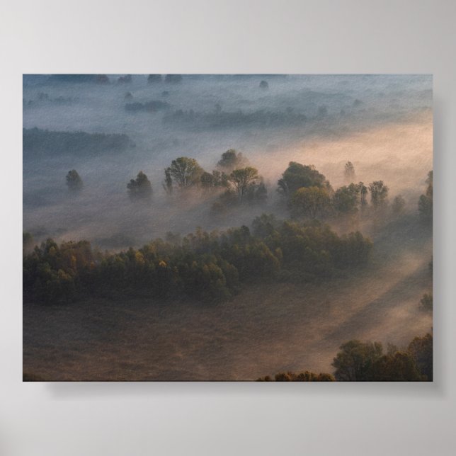 Póster Árboles en la niebla matutina (Frente)