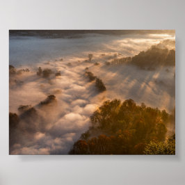 Póster Árboles en la niebla matutina