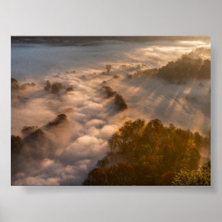 Póster Árboles en la niebla matutina