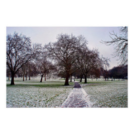 Póster Árboles en Primrose Hill Camden Londres
