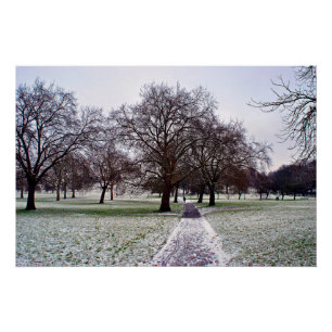 Póster Árboles en Primrose Hill Camden Londres