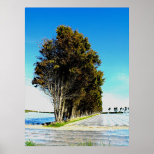 Póster Árboles en un paisaje de Jersey