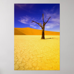 Póster Árboles esqueleto en Dead Vlei Sossusvlei,