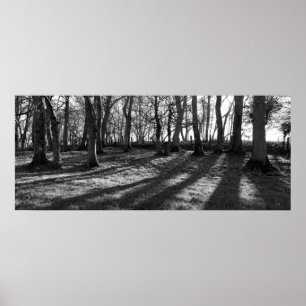 Póster Árboles ferroviarios