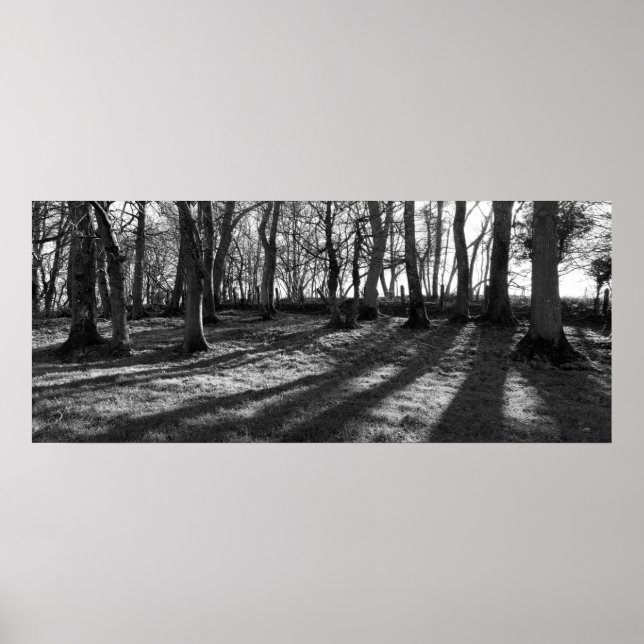 Póster Árboles ferroviarios (Frente)