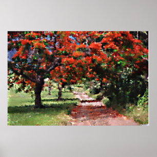 Póster Árboles flamboidales