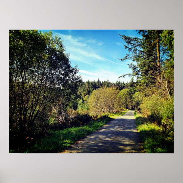 Póster Árboles forestales a lo largo de senderos por el h (Frente)