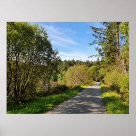 Póster Árboles forestales a lo largo del sendero de sende