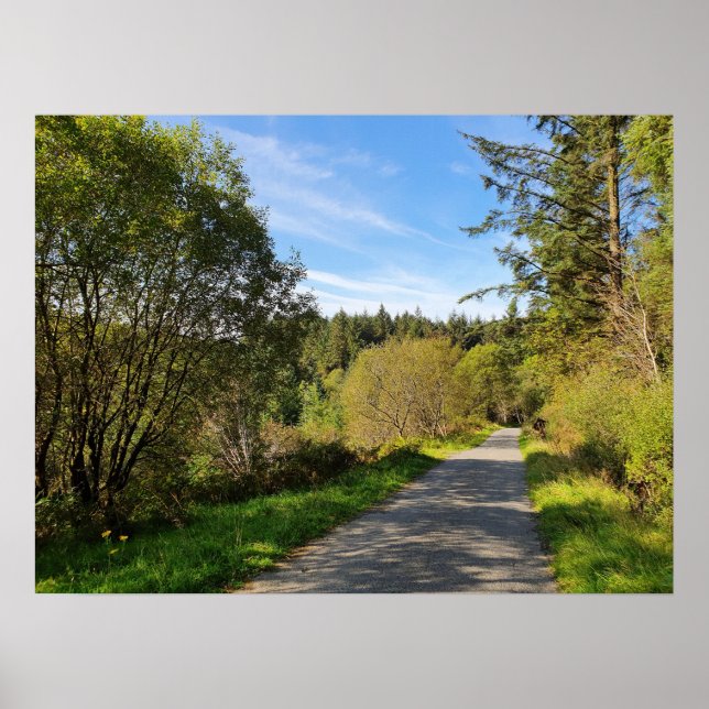 Póster Árboles forestales a lo largo del sendero de sende (Frente)