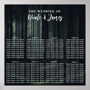 Póster Árboles forestales de Moody oscuros en el asiento