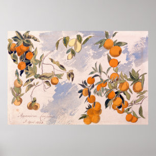 Póster Árboles frutales - Edward Lear