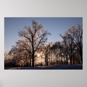 Póster Árboles helados iluminados