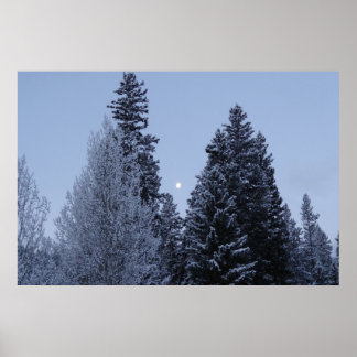 Póster Árboles invernales en el paisaje de Dawn Montana