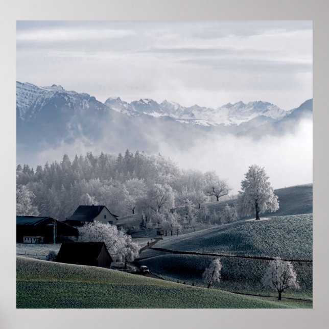PÓSTER ÁRBOLES JUNTO A LA MONTAÑA DE NIEVE CAPPEADA DURAN (Frente)