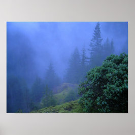 Póster Árboles misteriosos