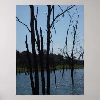 Póster Árboles muertos lago Truman