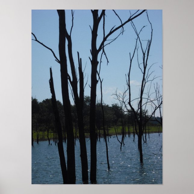 Póster Árboles muertos lago Truman (Frente)