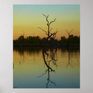 Póster Árboles muertos reflejados en la laguna de Lily Cr