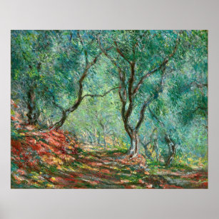 Póster Árboles olivos en el Poster del Jardín
