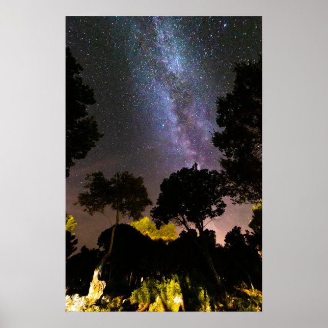 Póster Árboles paisaje con vía láctea (Frente)