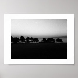 Póster Árboles perdidos Canadá Fotografía en blanco y neg