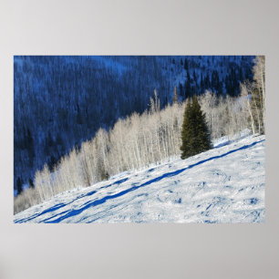 Póster Árboles plateados