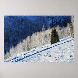 Póster Árboles plateados