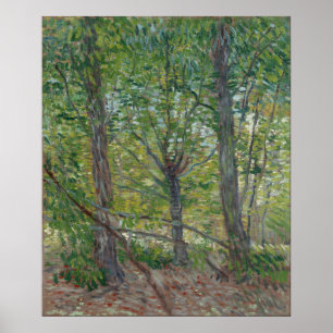 Póster Árboles por Vincent Van Gogh