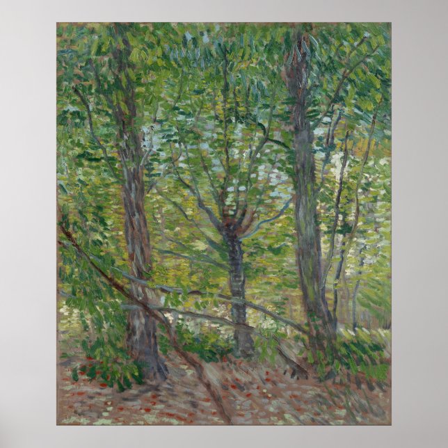 Póster Árboles por Vincent Van Gogh (Frente)