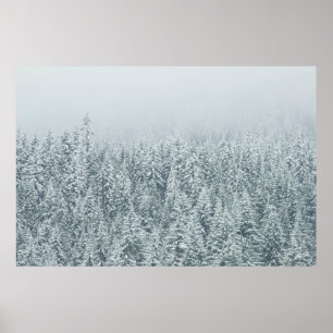 PÓSTER ÁRBOLES QUE CUBREN LA NIEVE