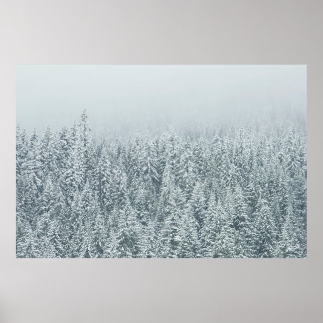 PÓSTER ÁRBOLES QUE CUBREN LA NIEVE (Frente)