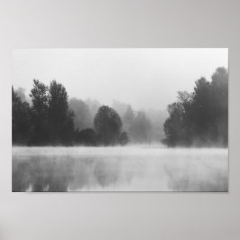 Póster Árboles que desaparecen en la niebla matutina sobr