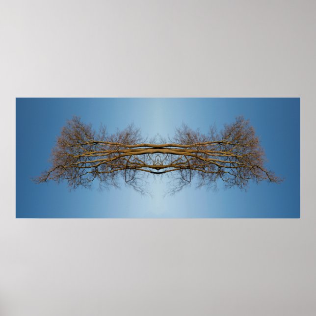 Póster Árboles reflejados (Frente)