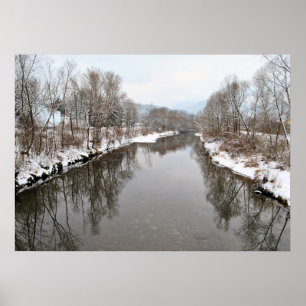 Póster Árboles reflejándose en el río