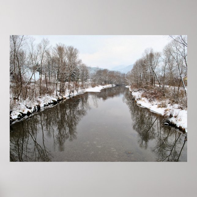 Póster Árboles reflejándose en el río (Frente)