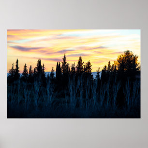 Póster Árboles siluetas en el atardecer