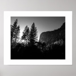 Póster Árboles soleados fotografía yosemite en blanco y n