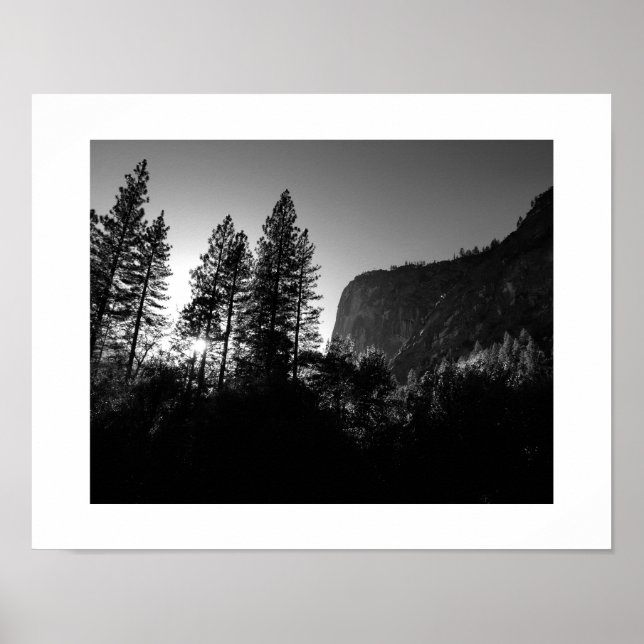Póster Árboles soleados fotografía yosemite en blanco y n (Frente)