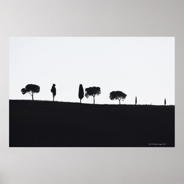 Póster Árboles típicos de la Toscana (Frente)