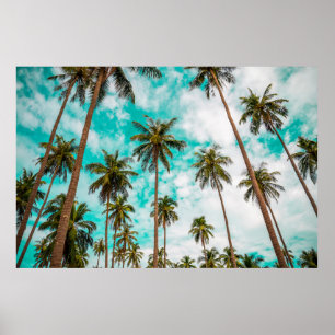 Póster Árboles tropicales