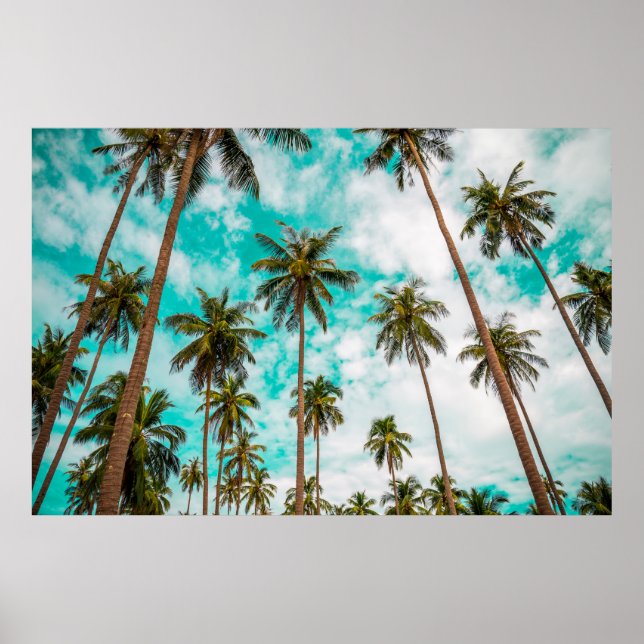 Póster Árboles tropicales (Frente)
