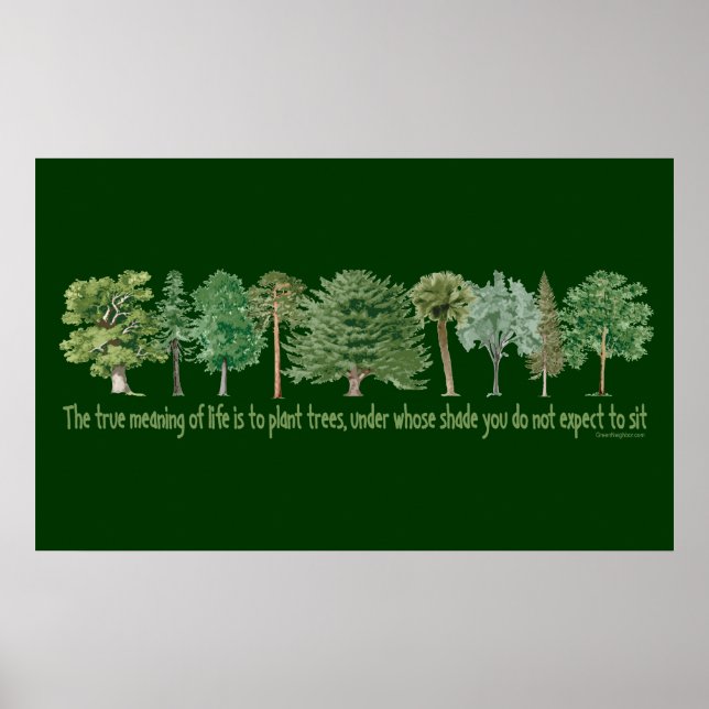 Póster Árboles vegetales (Frente)