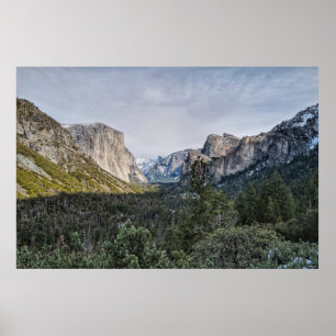 PÓSTER ÁRBOLES VERDES CERCA DE LA MONTAÑA BAJO EL CIELO D